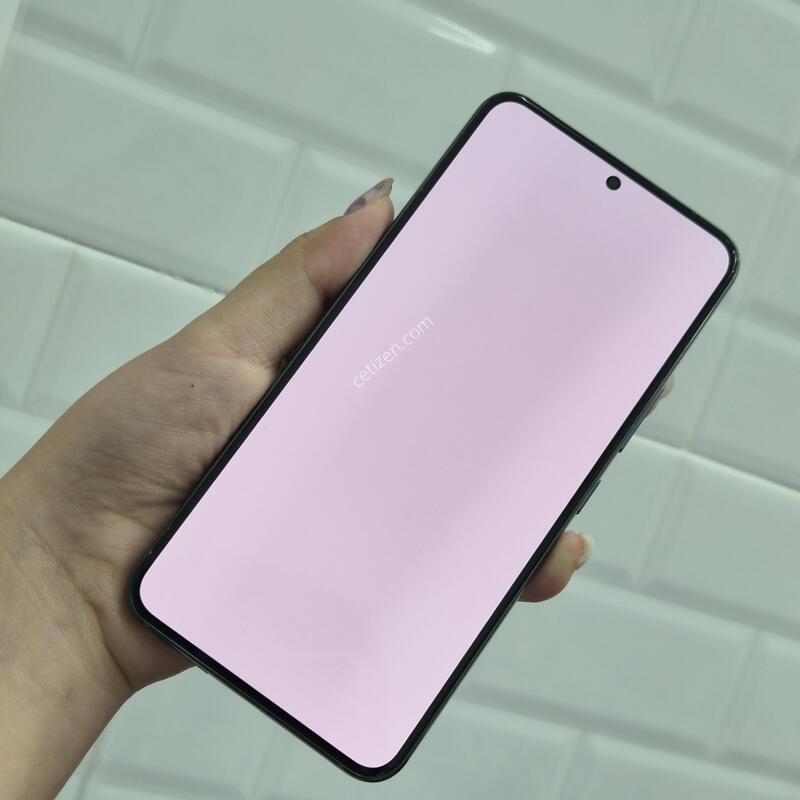 ������S22 �׸� 256GB