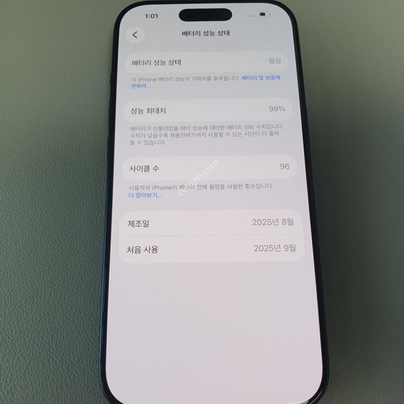 ������17 ���� / 256GB / ������ / ���͸����� 99%
