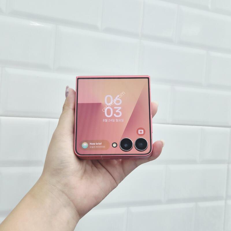 ������Z�ø�7 ���� 512GB