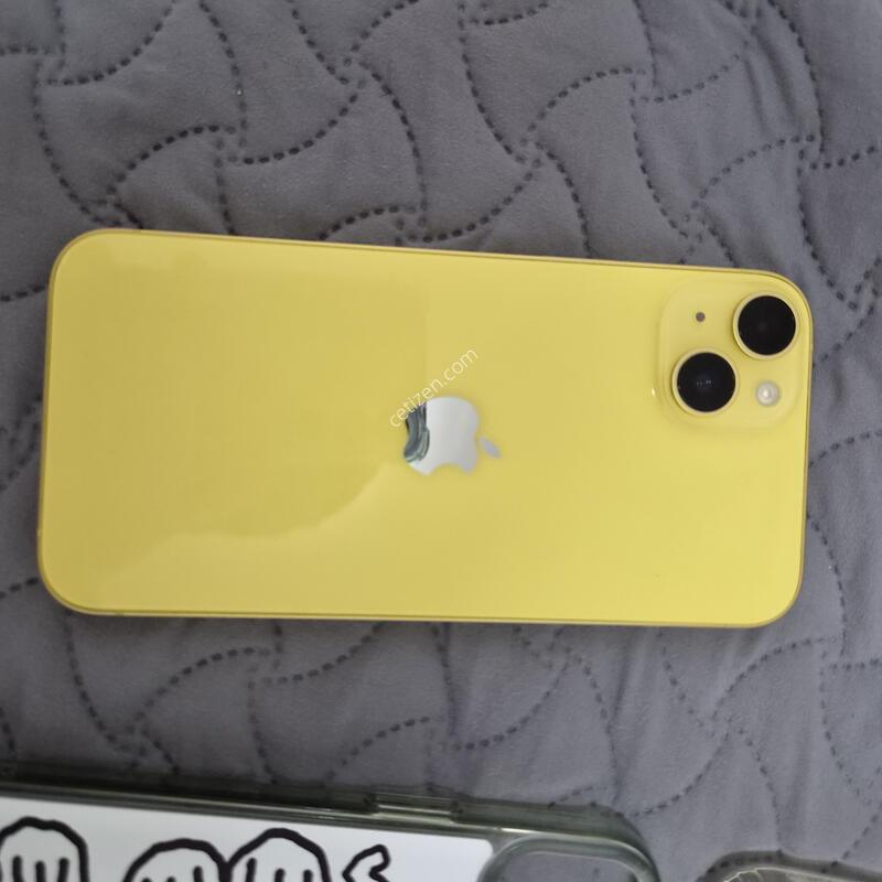 ������14 �÷��� ���ο�
