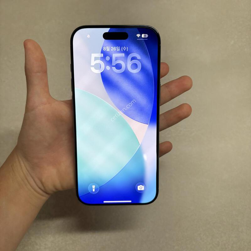 ������ ���� ����Ʈ����