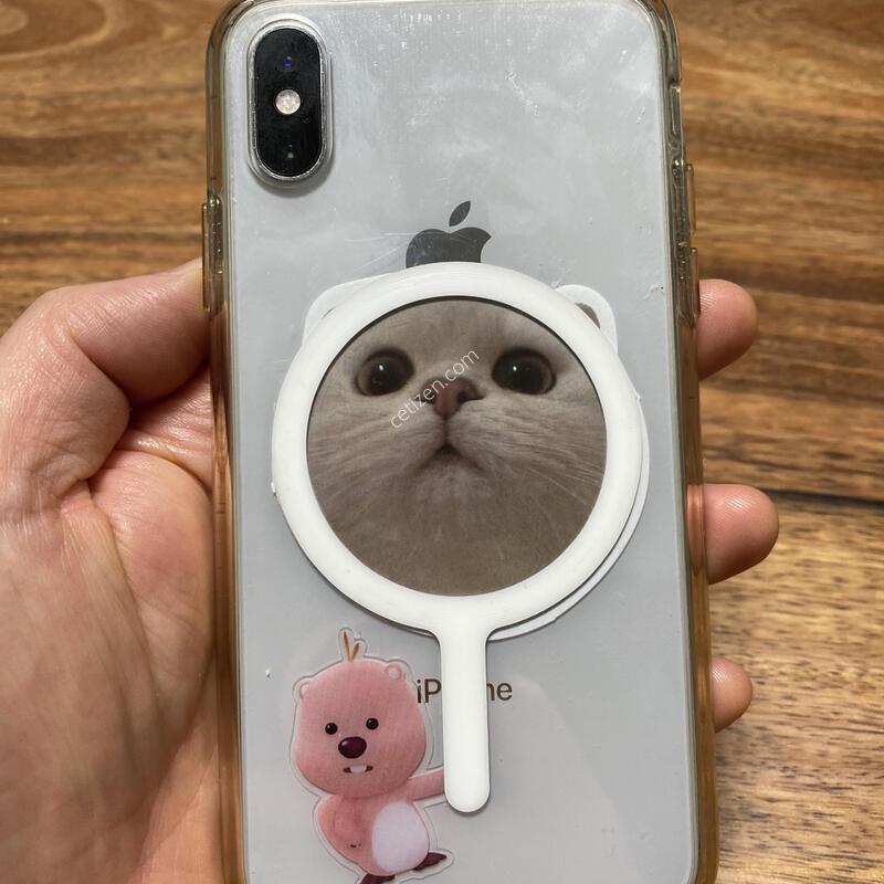 ������ iPhone Xs 256G �Ǹ�