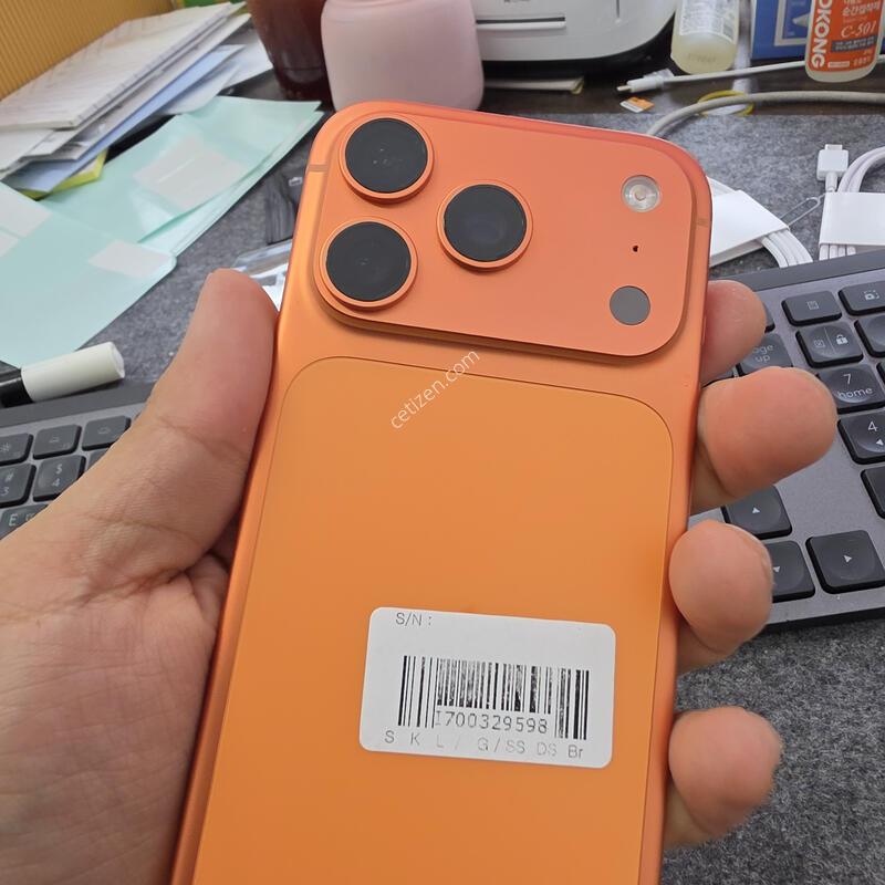 (1103)17����