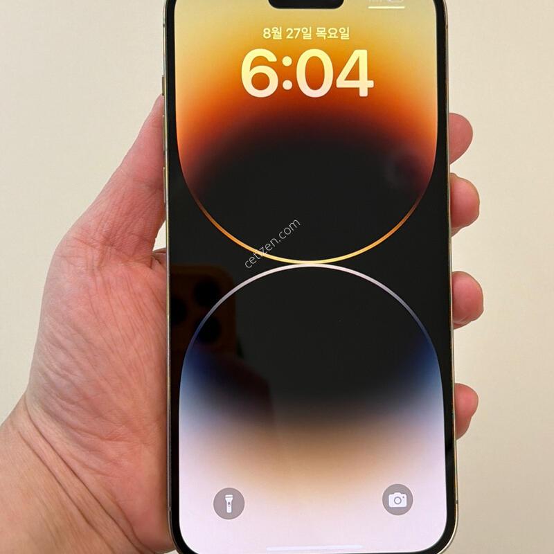 ������14���θƽ� 91%