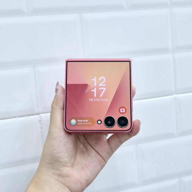 ������Z�ø�7 512GB ����