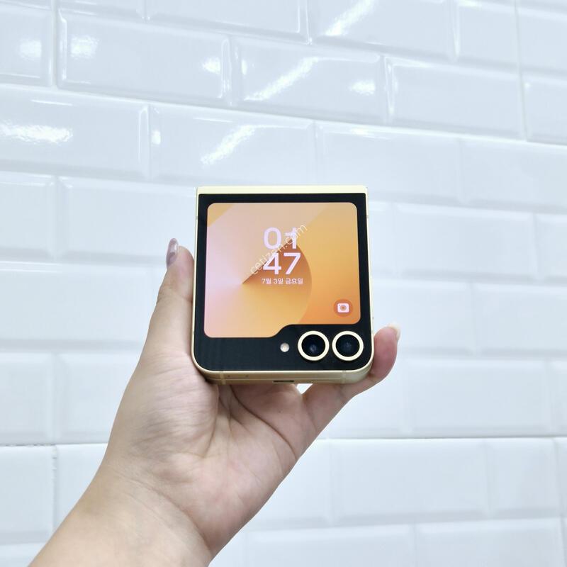 ������Z�ø�6 ���ο� 256GB