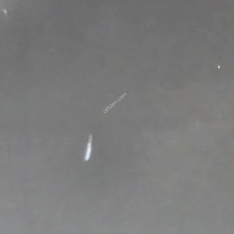 S25(�⺻) 512G, �׸�, �ڱ��� A��