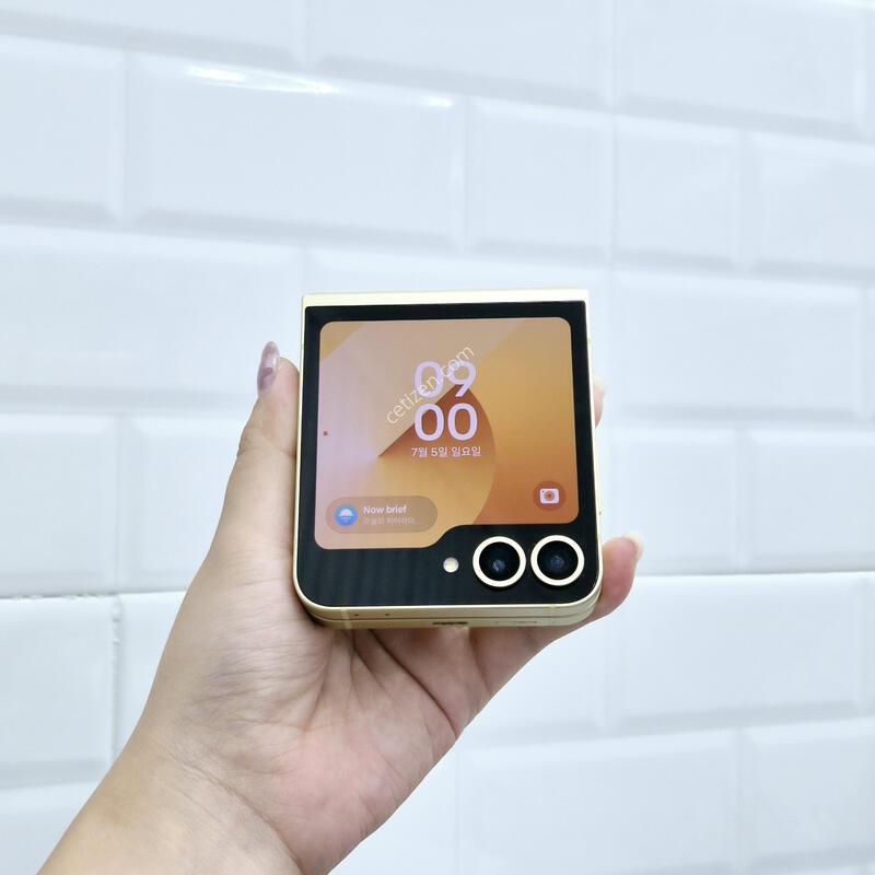 ������Z�ø�6 ���ο� 256GB