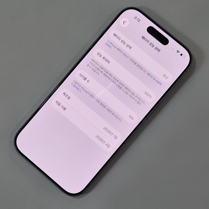 @���͸�100@ ������ 17 256GB ���� 79383