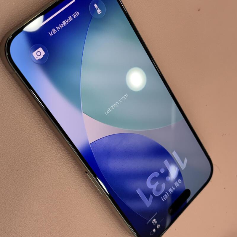 ������15���� 256GB ���߷�ƼŸ�� S��