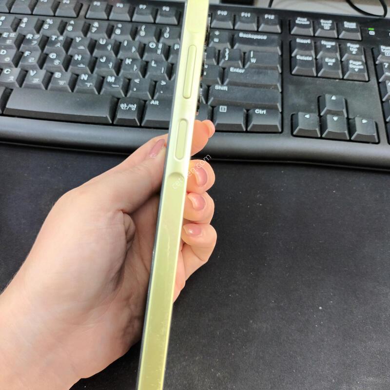 ������ ����3 / ���