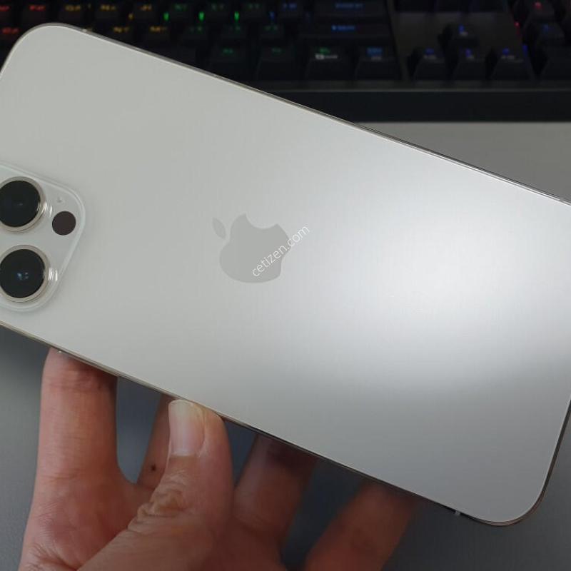 ������12 ���� �ƽ� / 256GB / ȭ��Ʈ / ���͸� �缳 ����
