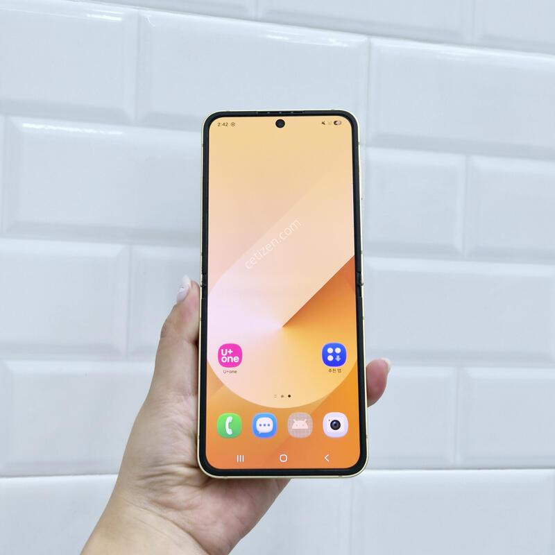������Z�ø�6 ���ο� 256GB