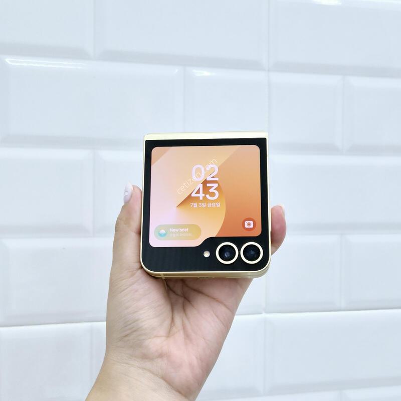 ������Z�ø�6 ���ο� 256GB