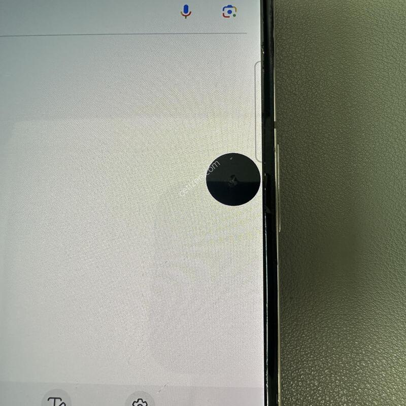 ������ Z����4 / 256GB / ������