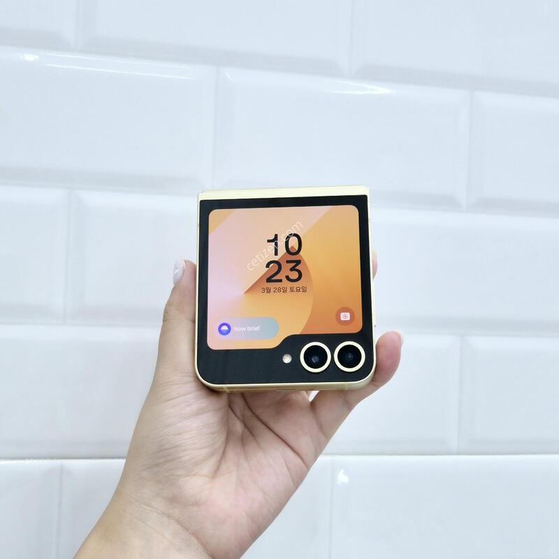 ������Z�ø�6 ���ο� 256GB