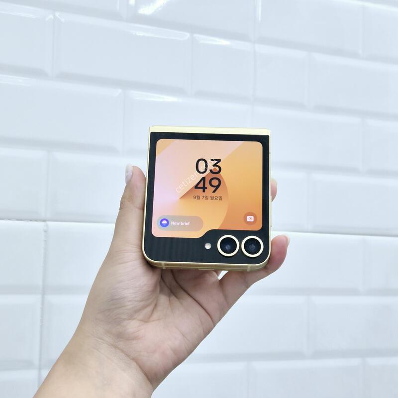 ������Z�ø�6 ���ο� 256GB