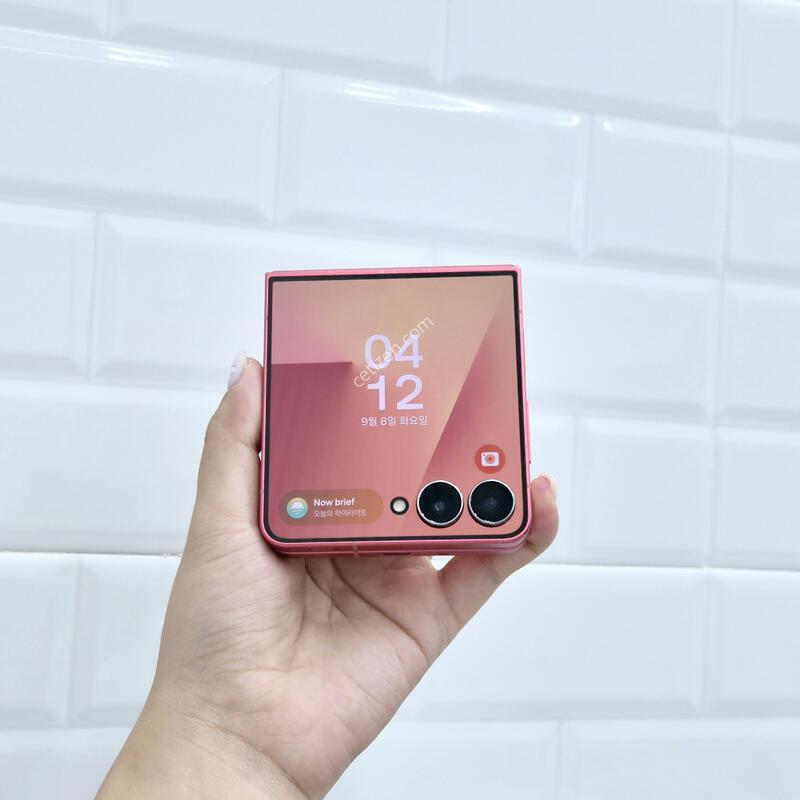 ������Z�ø�7 512GB ����