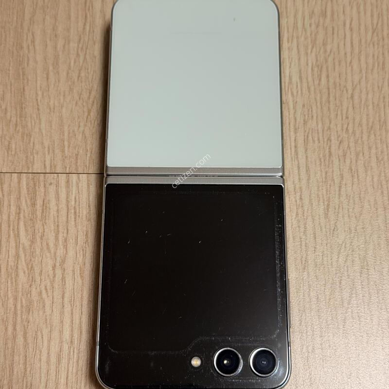 F731 ������ Z�ø�5 ��Ʈ 256GB