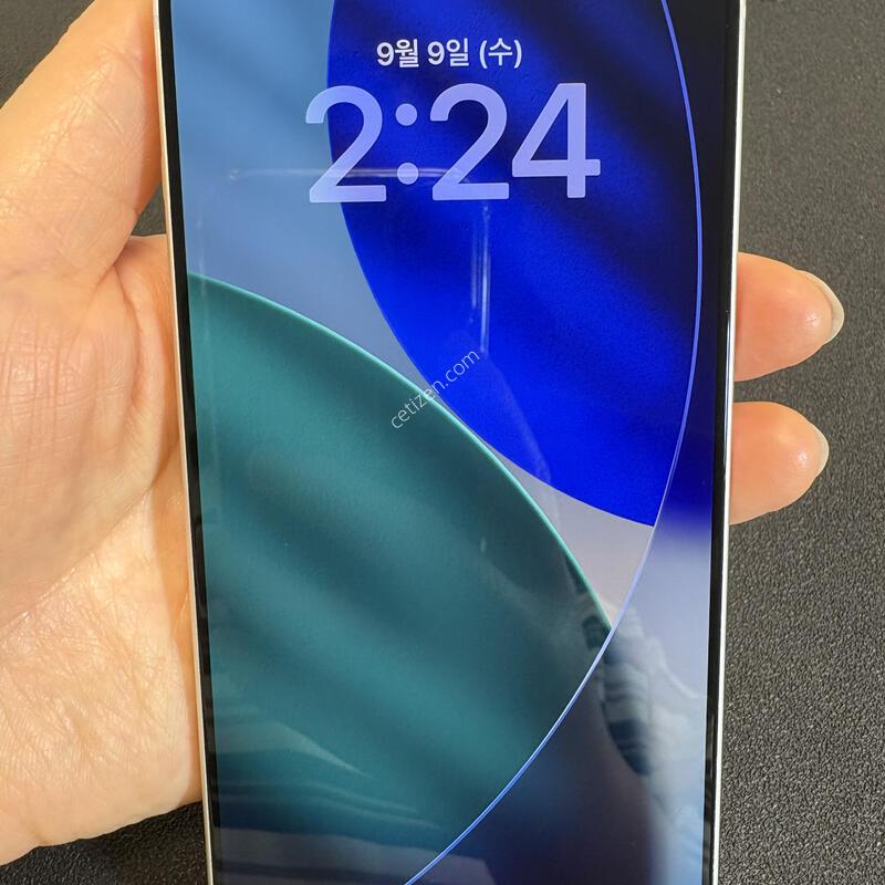 ������17 ����  256G(�ǹ�)  ���͸�100%  SS��