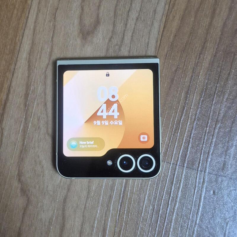 ������ �ø�6 ���ο� 256