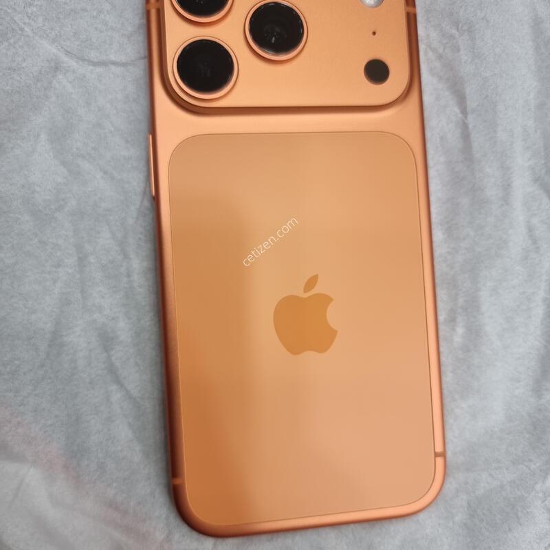 ������ 17 ���� 256GB �ڽ��� ������