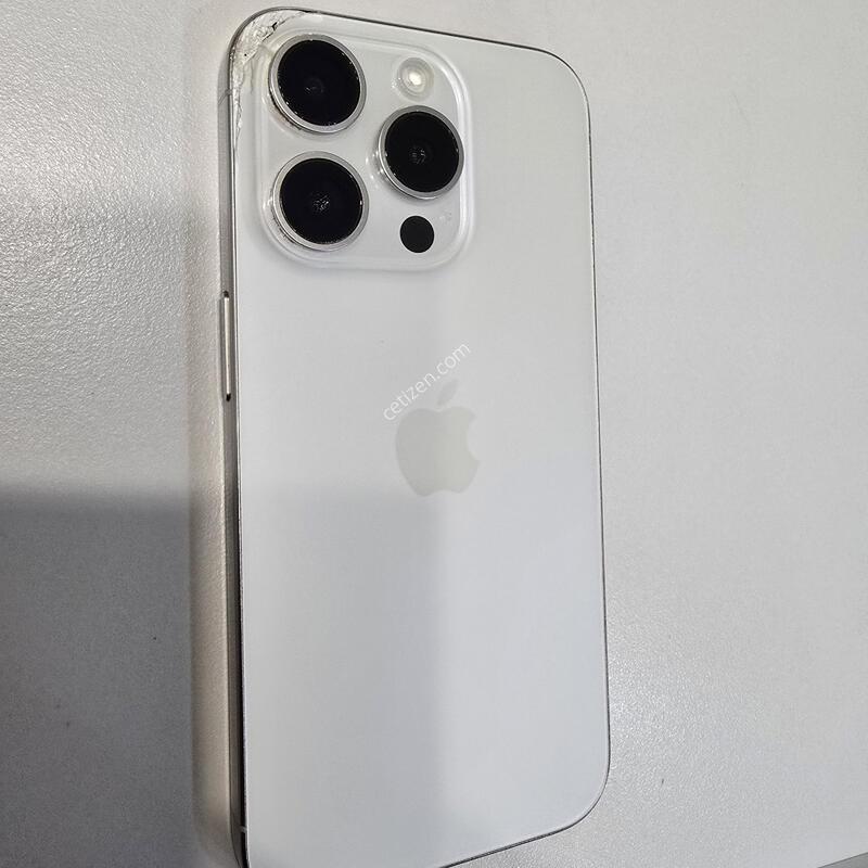 ������ 15 ���� 256�Ⱑ ȭ��Ʈ