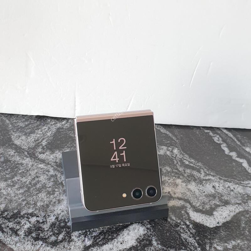SK ������Z�ø�5 (F731N) ���� 256�Ⱑ (0166378)