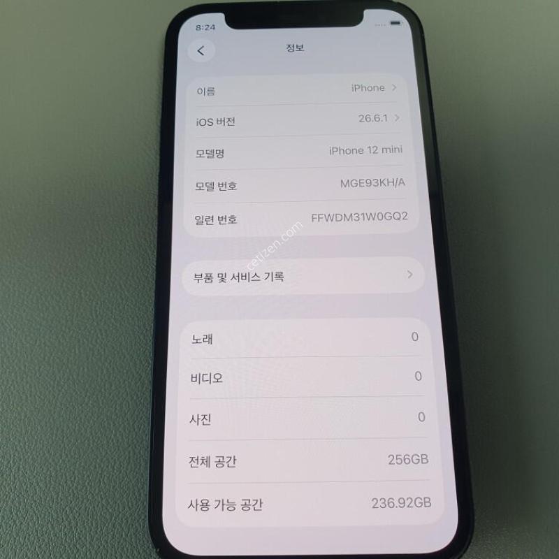 ������12 �̴� / 256GB / ���� / ���͸����� 73%