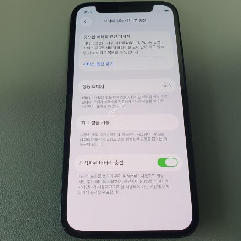 ������12 �̴� / 256GB / ���� / ���͸����� 73%