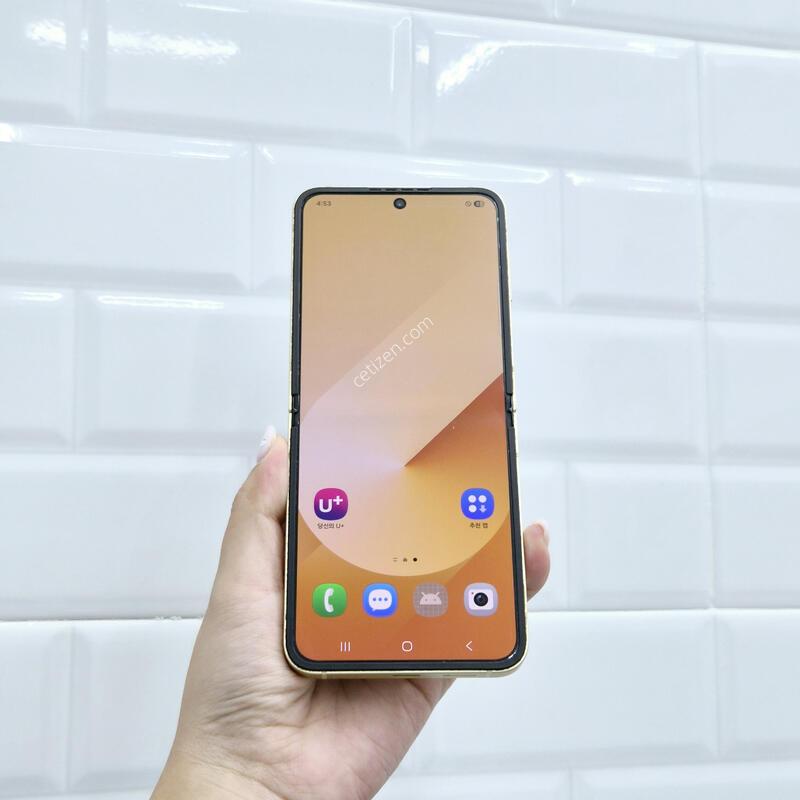������Z�ø�6 ���ο� 256GB