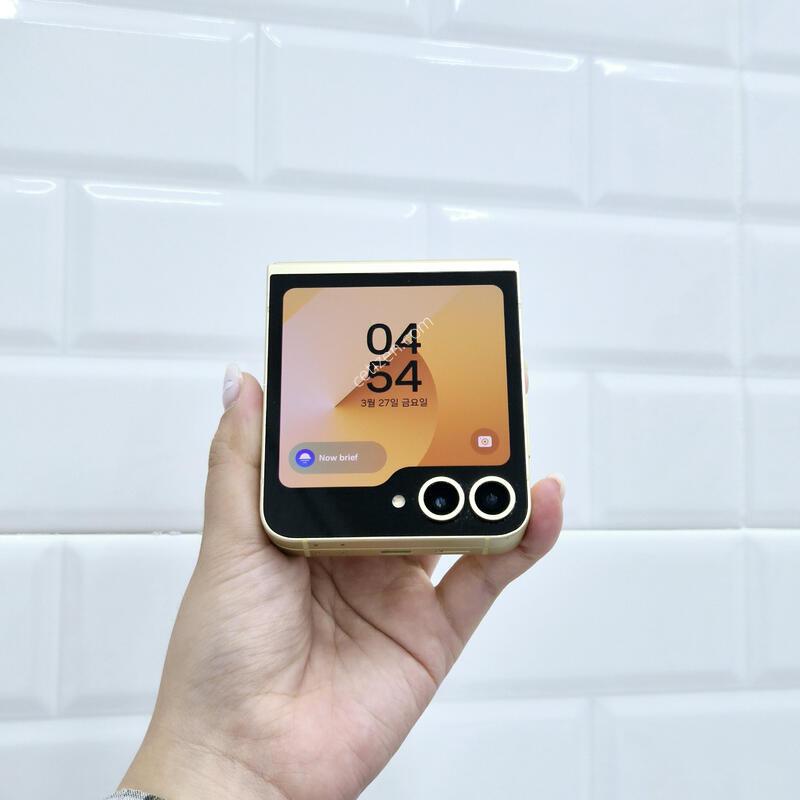 ������Z�ø�6 ���ο� 256GB