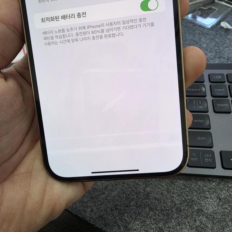 (5006)14���θƽ�