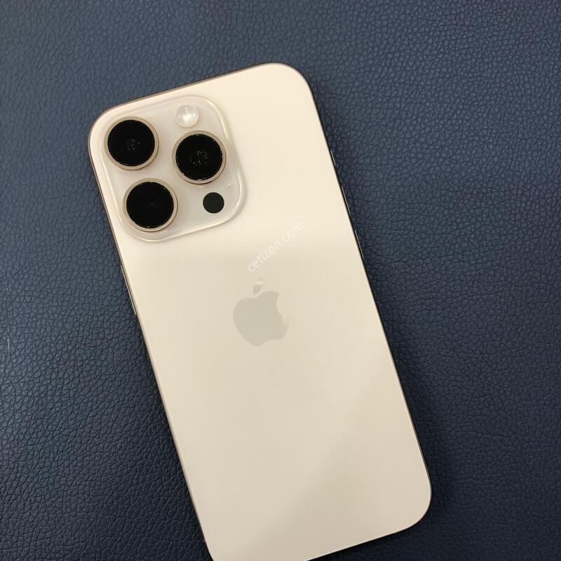 ����Ʈ/S��/����������