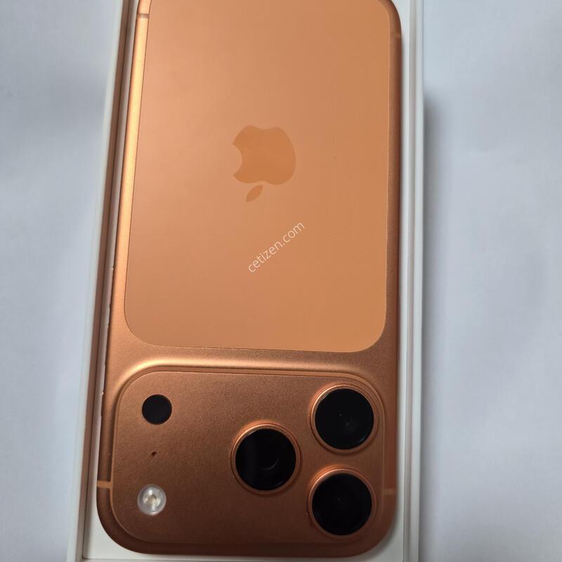 ������ 17���� 256G (������)