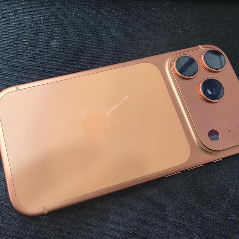 ������ 17���� 256