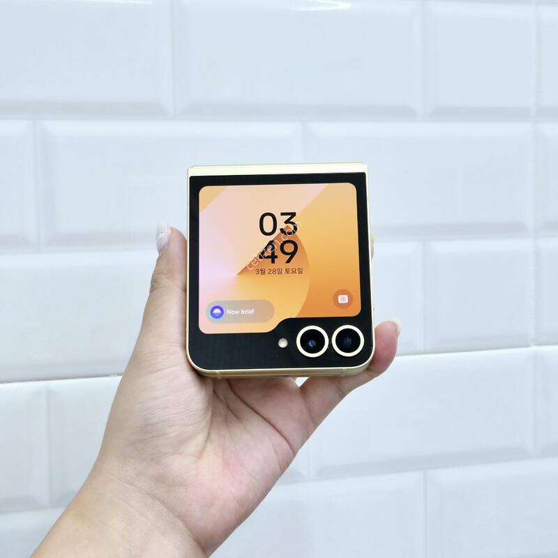 ������Z�ø�6 ���ο� 256GB