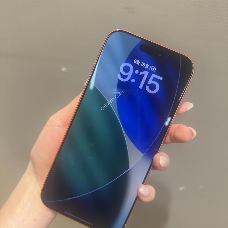 ������17���θƽ� 256
