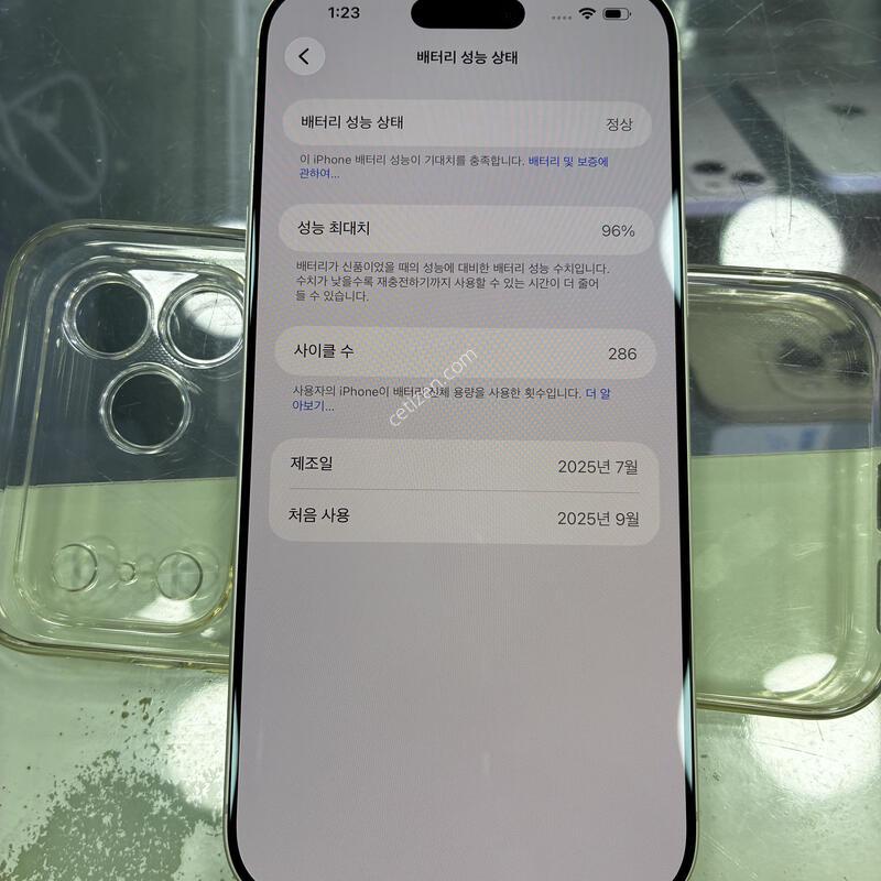 ������17���θƽ�/256GB/�ǹ�/SS��