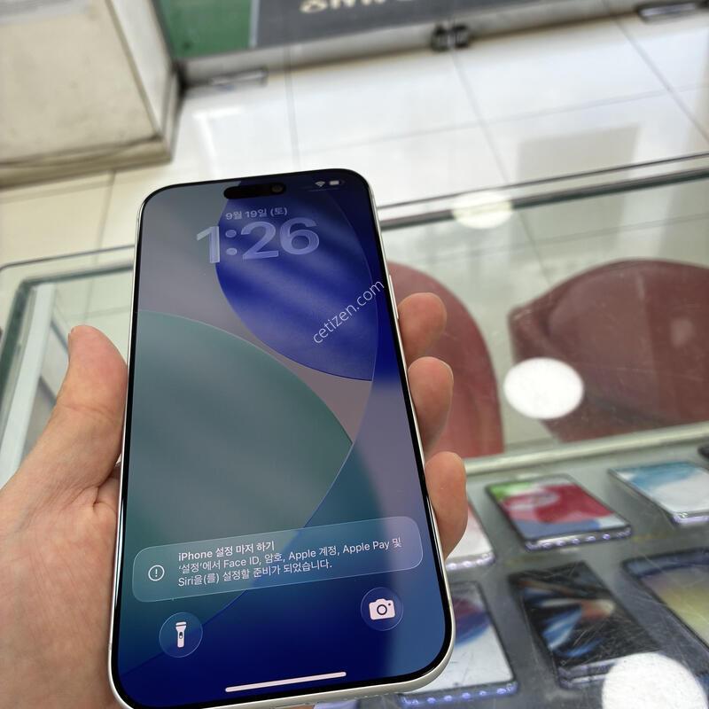 ������17���θƽ�/256GB/�ǹ�/SS��