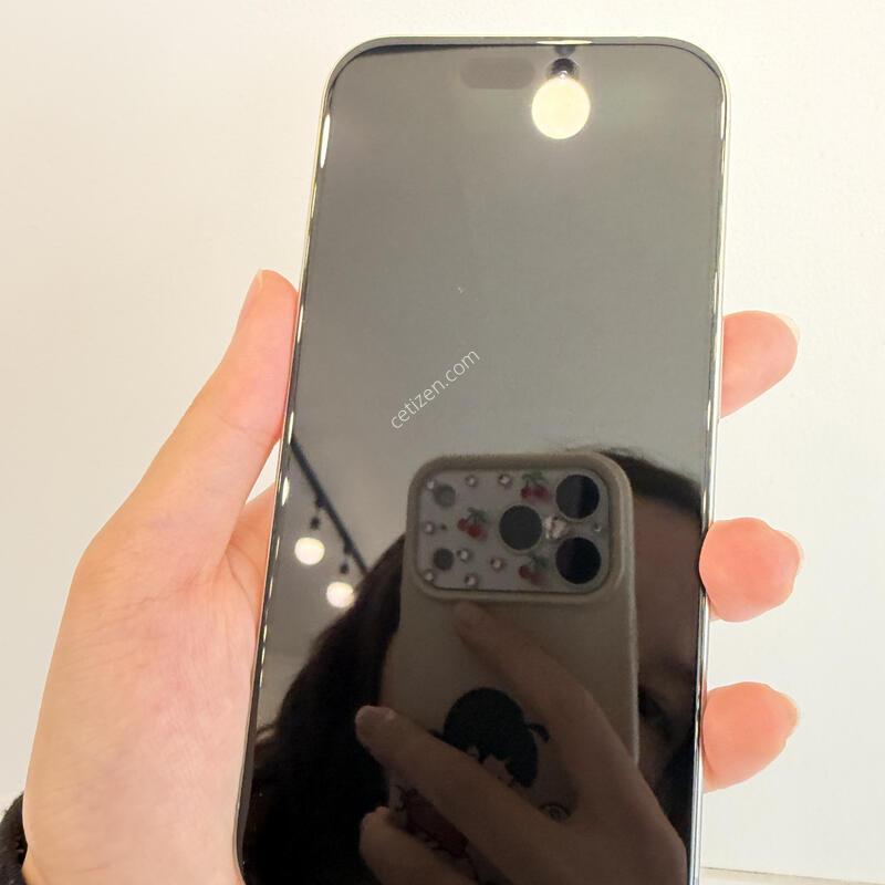 ������ 15 ����