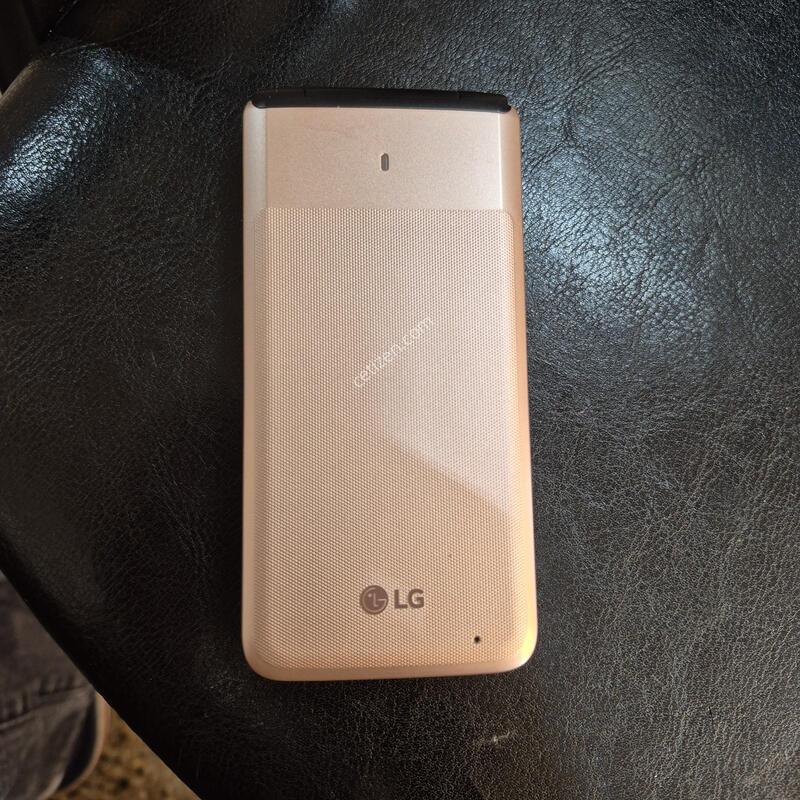 Y110L
