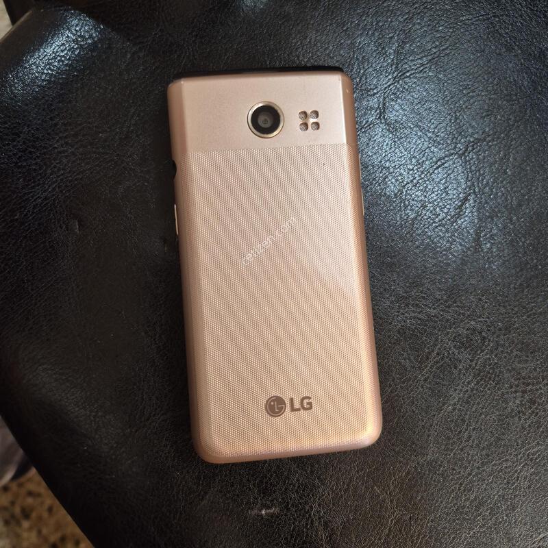 Y110L