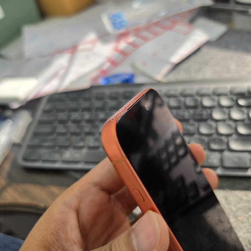 (1133)17���� 256