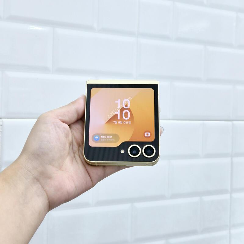 ������Z�ø�6 ���ο� 256GB