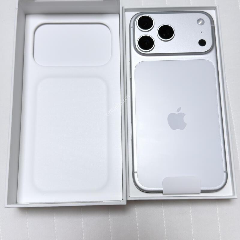 ������ 17���θƽ� 256g �Ѵ޻��