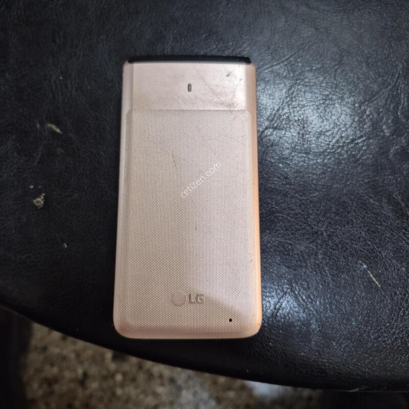 Y110L
