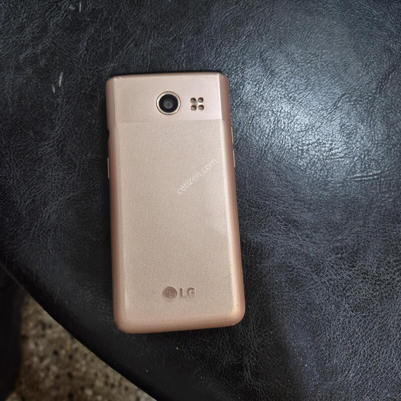 Y110L