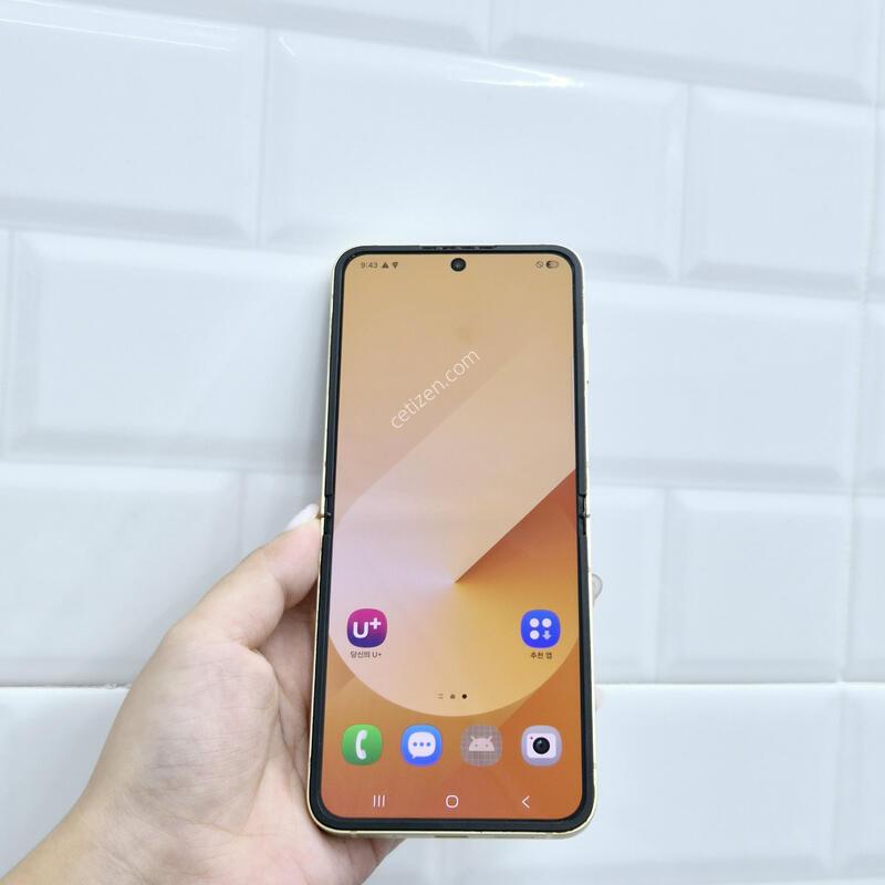 ������Z�ø�6 ���ο� 256GB