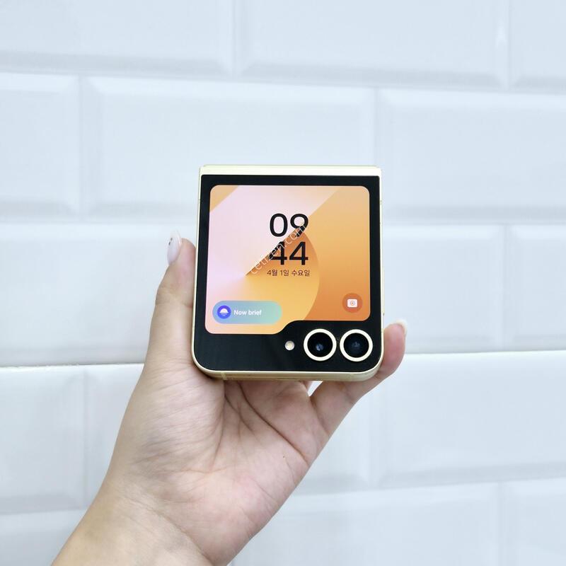 ������Z�ø�6 ���ο� 256GB